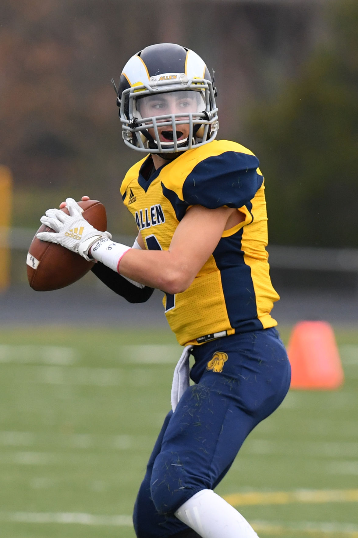 Allen Academy vs. Watauga Harvest